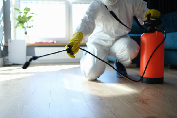 Reliable Infectious Disease Decontamination contractor in Mokelumne Hill, CA by Crime Scene Cleaner Online